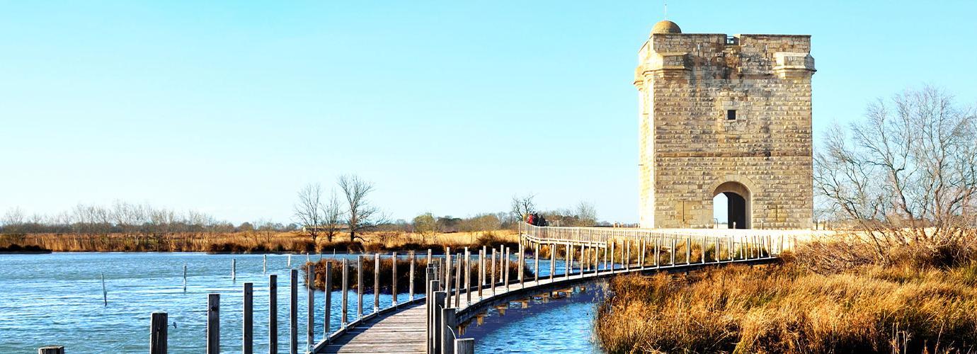 Que faire en Camargue